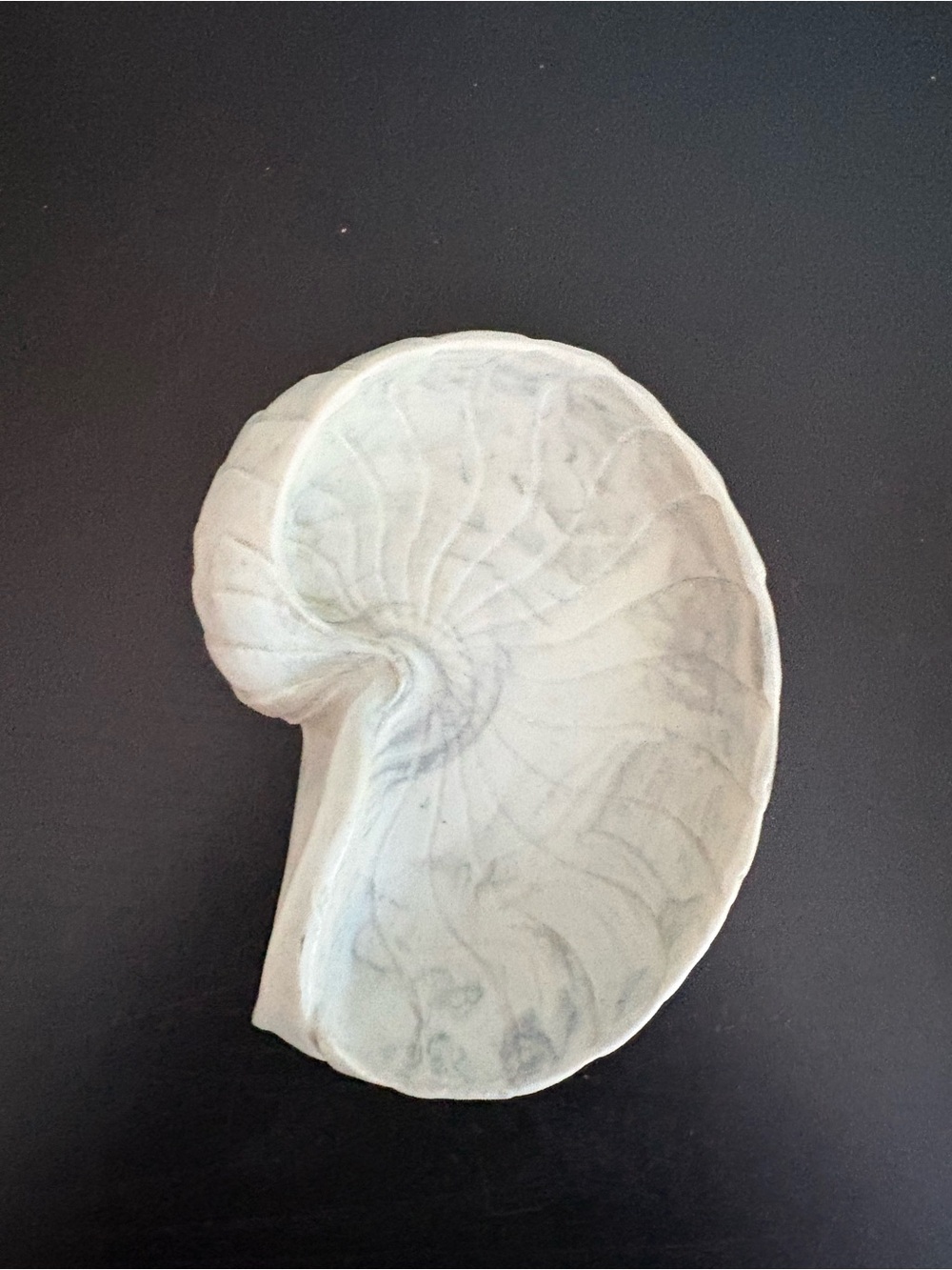 Shell shaped soap dish - Picture 2 of 4